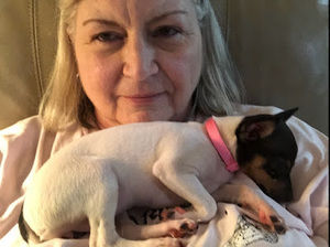 Meet your Posher, Carole